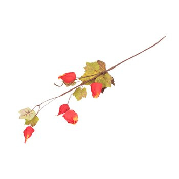 EM&EM Gałązka jesienna 64cm