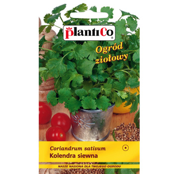 PlantiCo Kolendra siewna
