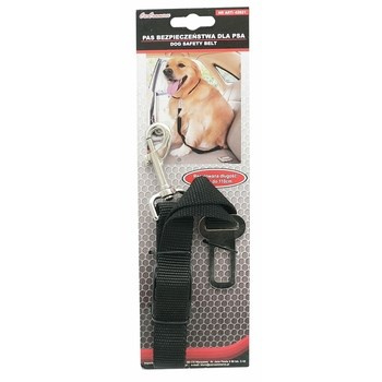 Pas, samochodowa smycz dla psa, kota