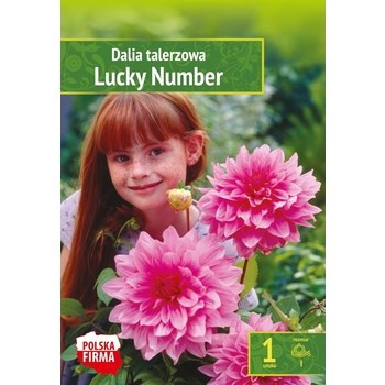 Kapers Dahlia - Dalia Lucky Number 1 szt. Benex