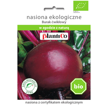 PlantiCo Burak ćwikłowy