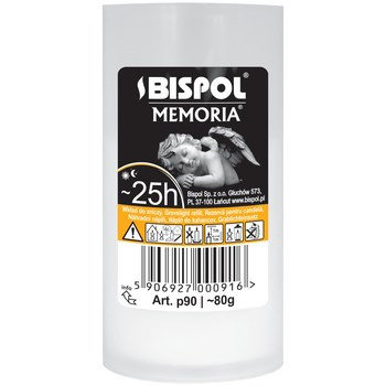 wkład paraf p90 /~25h