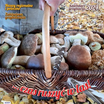 Kalendarz albumowy duży Grzybiarza