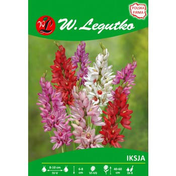 Iksja mieszanka seria tradycyjna Legutko