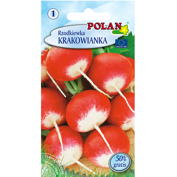 Rzodkiewka Krakowianka Polan