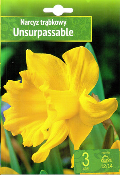 Narsissus - Narcyz Unsurpassable 3SZT.