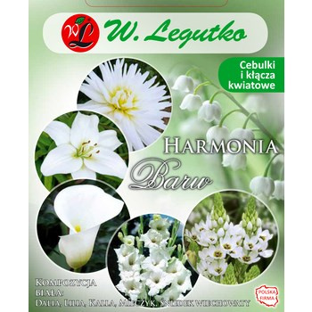 Kompozycja biała Harmonia Barw Wiosna Legutko