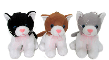 SUN-DAY Zabawka pluszowa Kotki zgłosem K1152