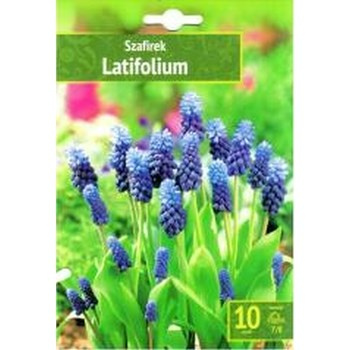 Szafirek 10 szt Benex