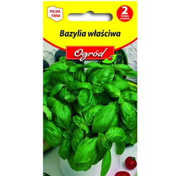 PlantiCo Bazylia właściwa nasiona