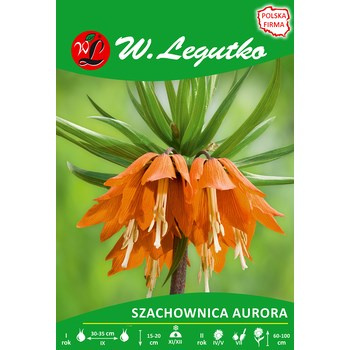 Szachownica cesarska Aurora Legutko