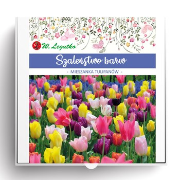 Szaleństwo barw - kompozycja cebul kwiatowych Legutko