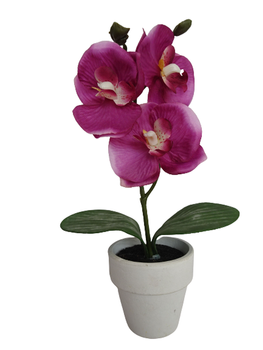 Sztuczna roślina storczyk 22 cm Comfort Living