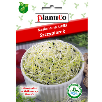 Nasiona na kiełki - Szczypiorek Plantico