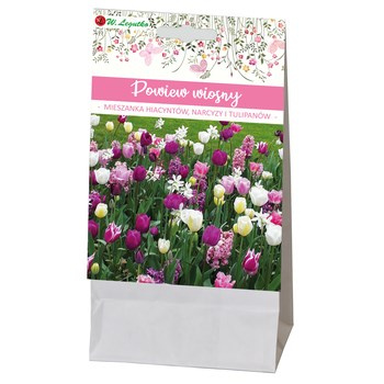 Powiew wiosny Legutko