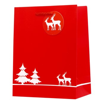 TT-40S torebka prezentowa XL 210g/m2, BN