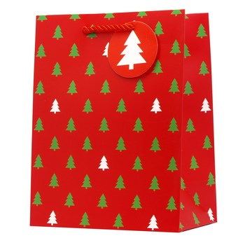 TT-20S torebka prezentowa średnia 210g/m2, BN