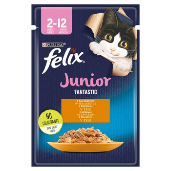 FELIX FANTASTIC Junior Kurczak 85g