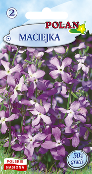 Maciejka Polan