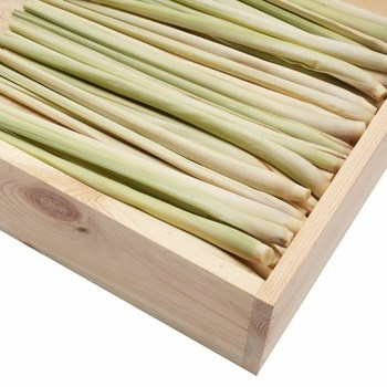 TRAWA CYTRYNOWA TAJLANDIA 250G