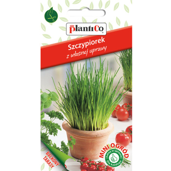Szczypiorek PlantiCo