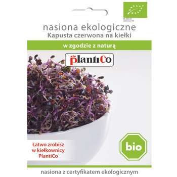 Nasiona ekologiczne na kiełki  BIO - Kapusta czerwona Plantico