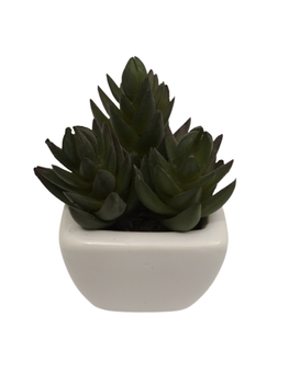 Sztuczny sukulent 8 cm Comfort Living