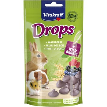 VK.DROPS OWOCE LEŚ.D/GRYZ. 75G