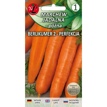 Legutko Marchew jadalna Berlikumer 2 - Perfekcja - późna 3,00