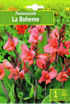 Canna - Paciorecznik La Boheme Wybór "I" 1 Szt.