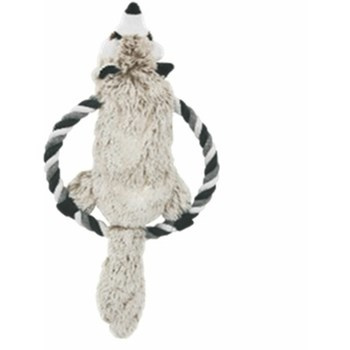 Frisbee SZOP Inter-Point