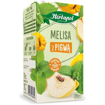 HRBPL HERB ZIOŁ MELIS PIGW20TB