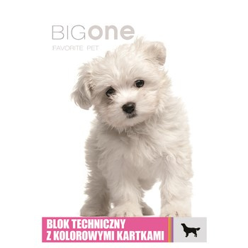 Unipap blok techniczny A4, 10 kolorowych kartek