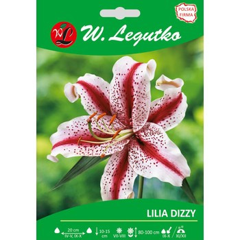 Lilia Dizzy seria tradycyjna Legutko