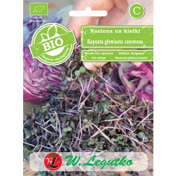 Nasiona na kiełki - kapusta głowiasta czerwona Legutko