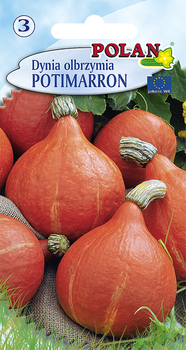 Dynia olbrzymia Potimaron Polan
