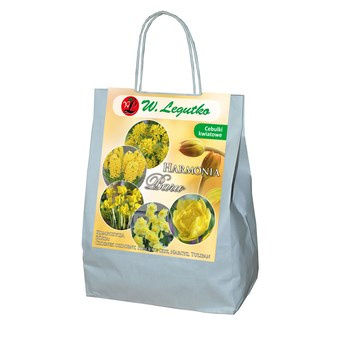 Kompozycja żółta - Harmonia Barw Legutko