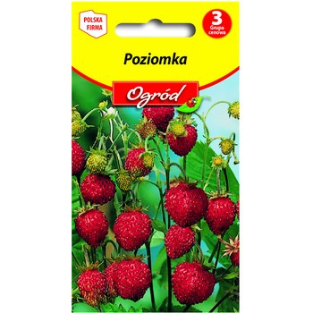 PlantiCo Poziomka nasiona