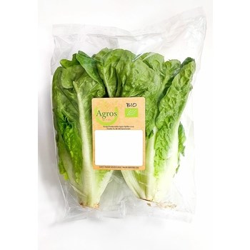 BIO SAŁATA RZYM MIN KLI PL2SZT