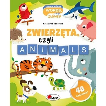 Poznaje główka angielskie słówka