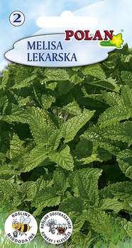 Melisa lekarska Polan