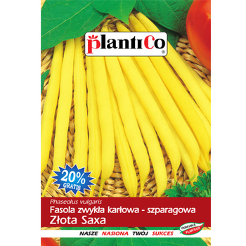 PlantiCo Fasola zwykła karłowa Złota Saxa