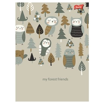 Unipap zeszyt okładka laminowana A5, 32 kartki, linia dwukolorowa NATURE