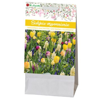 Sielskie wspomnienie Legutko