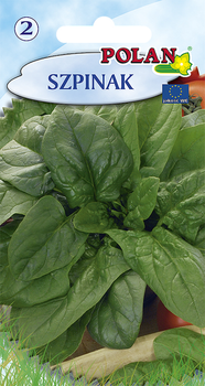 Szpinak Olbrzymi Polan