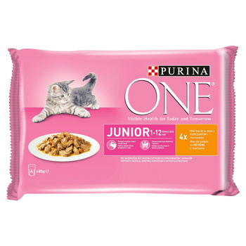 Purina ONE JUNIOR Kurczak