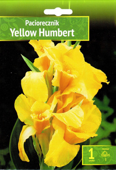 Canna - Paciorecznik Yellow Humbert Wybór "I" 1 Szt