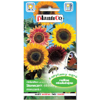 PlantiCo Słonecznik ozdobny wysoki, mieszanka
