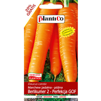 Marchew jadalna Berlikumer2-Perfekcja GOF PlantiCo