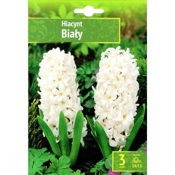 Hyacinthus - Hiacynt Biały 3 SZT.